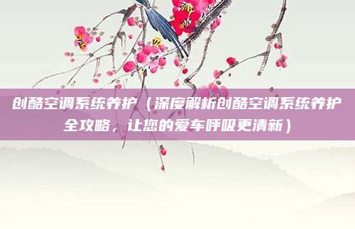 创酷空调系统养护(深度解析创酷空调系统养护全攻略,让您的爱车呼吸更清新)