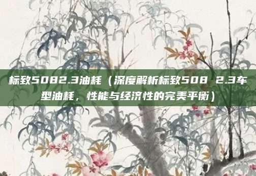 标致5082.3油耗(深度解析标致508 2.3车型油耗,性能与经济性的完美平衡)