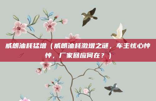 威朗油耗猛增(威朗油耗激增之谜,车主忧心忡忡,厂家回应何在?)