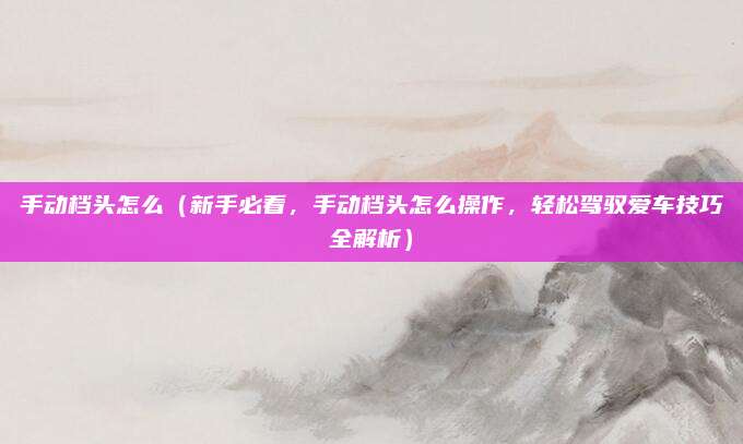 手动档头怎么(新手必看,手动档头怎么操作,轻松驾驭爱车技巧全解析)