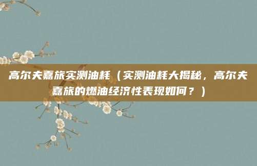 高尔夫嘉旅实测油耗(实测油耗大揭秘,高尔夫嘉旅的燃油经济性表现如何?)