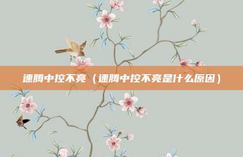 速腾中控不亮(速腾中控不亮是什么原因)