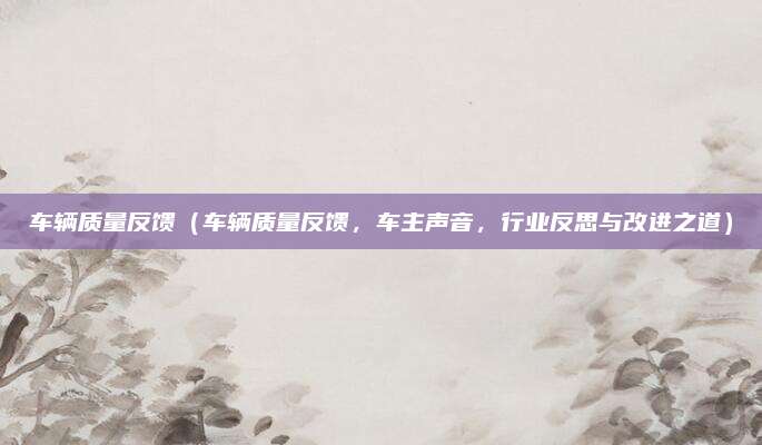 车辆质量反馈(车辆质量反馈,车主声音,行业反思与改进之道)