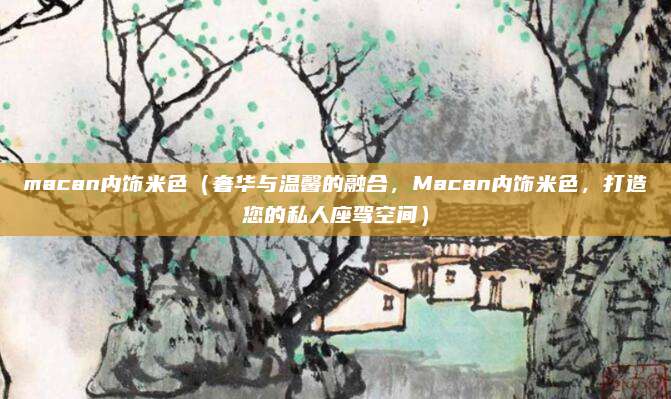 macan内饰米色(奢华与温馨的融合,Macan内饰米色,打造您的私人座驾空间)