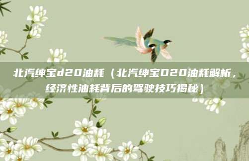 北汽绅宝d20油耗(北汽绅宝D20油耗解析,经济性油耗背后的驾驶技巧揭秘)