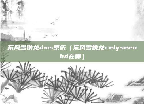 东风雪铁龙dms系统(东风雪铁龙celyseeobd在哪)