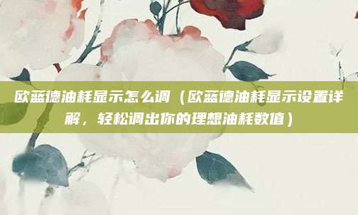 欧蓝德油耗显示怎么调(欧蓝德油耗显示设置详解,轻松调出你的理想油耗数值)