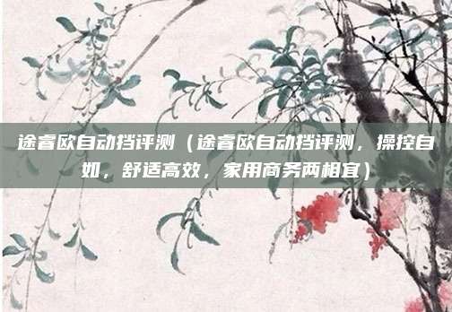 途睿欧自动挡评测(途睿欧自动挡评测,操控自如,舒适高效,家用商务两相宜)