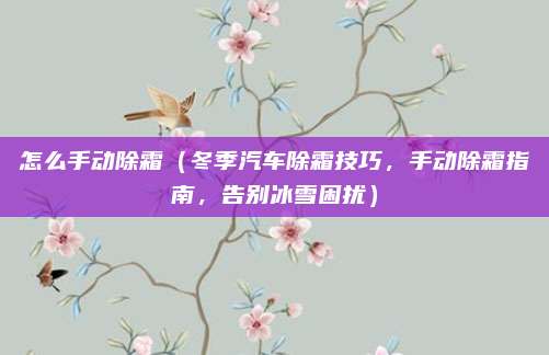 怎么手动除霜(冬季汽车除霜技巧,手动除霜指南,告别冰雪困扰)