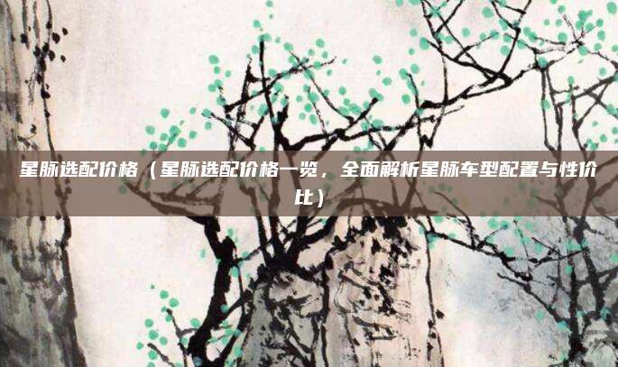 星脉选配价格(星脉选配价格一览,全面解析星脉车型配置与性价比)