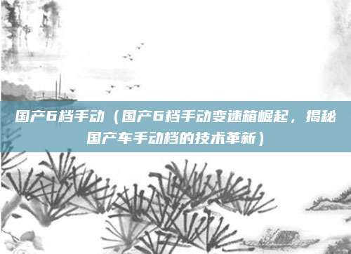 国产6档手动(国产6档手动变速箱崛起,揭秘国产车手动档的技术革新)