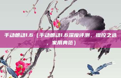 手动朗动1.6（手动朗动1.6深度评测，操控之选，家用典范）