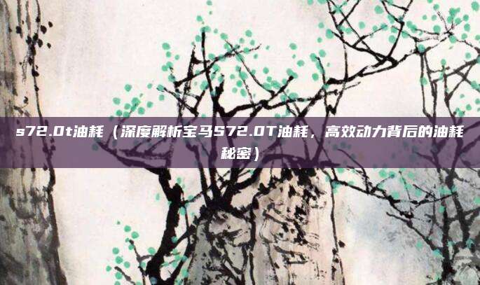 s72.0t油耗(深度解析宝马S72.0T油耗,高效动力背后的油耗秘密)