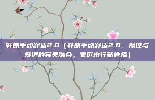 轩朗手动舒适2.0(轩朗手动舒适2.0,操控与舒适的完美融合,家庭出行新选择)