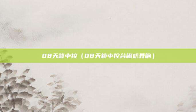 08天籁中控(08天籁中控台喇叭异响)