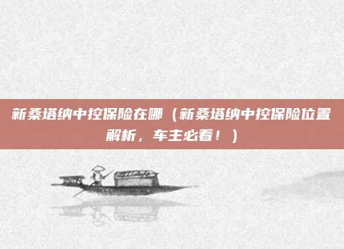 新桑塔纳中控保险在哪（新桑塔纳中控保险位置解析，车主必看！）