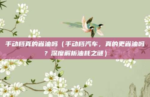 手动档真的省油吗(手动档汽车,真的更省油吗?深度解析油耗之谜)