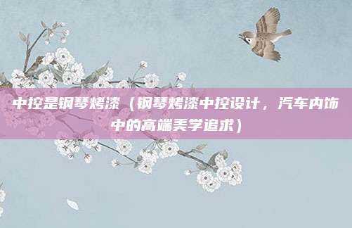 中控是钢琴烤漆(钢琴烤漆中控设计,汽车内饰中的高端美学追求)
