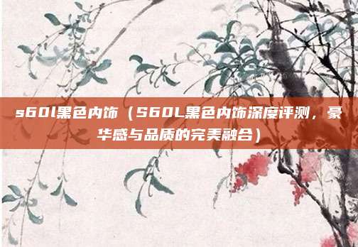 s60l黑色内饰(S60L黑色内饰深度评测,豪华感与品质的完美融合)