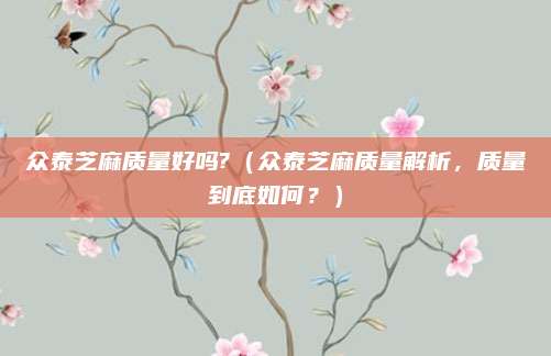 众泰芝麻质量好吗?(众泰芝麻质量解析,质量到底如何?)