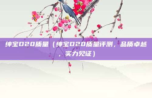 绅宝D20质量（绅宝D20质量评测，品质卓越，实力见证）