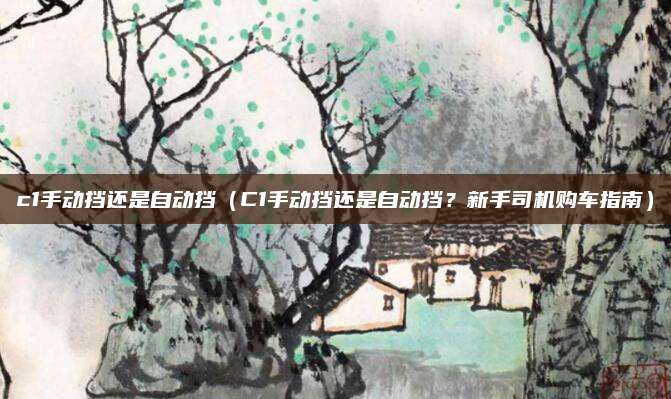 c1手动挡还是自动挡（C1手动挡还是自动挡？新手司机购车指南）