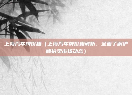 上海汽车牌价格(上海汽车牌价格解析,全面了解沪牌拍卖市场动态)