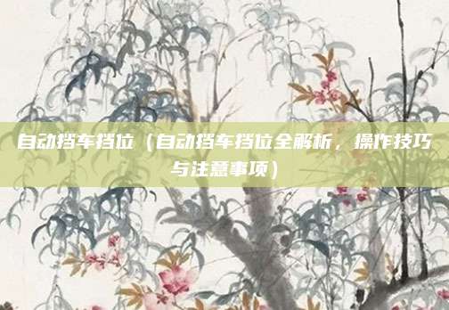 自动挡车挡位(自动挡车挡位全解析,操作技巧与注意事项)