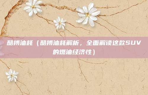 酷搏油耗（酷搏油耗解析，全面解读这款SUV的燃油经济性）