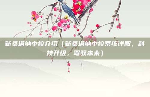 新桑塔纳中控介绍(新桑塔纳中控系统详解,科技升级,驾驭未来)