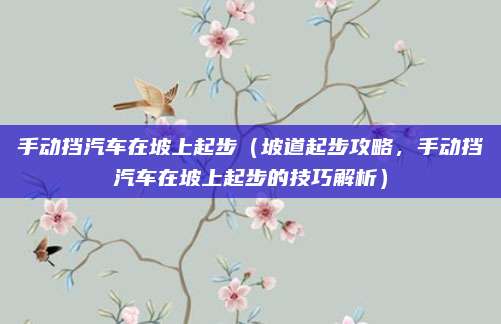 手动挡汽车在坡上起步(坡道起步攻略,手动挡汽车在坡上起步的技巧解析)
