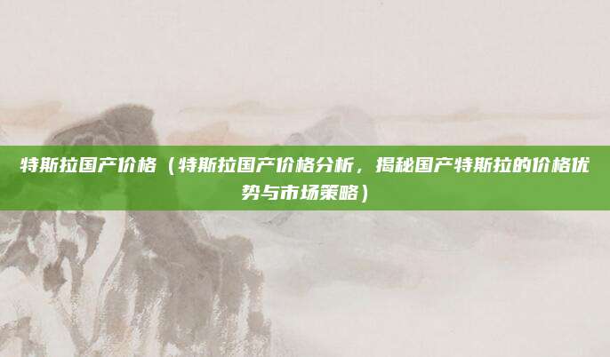 特斯拉国产价格(特斯拉国产价格分析,揭秘国产特斯拉的价格优势与市场策略)