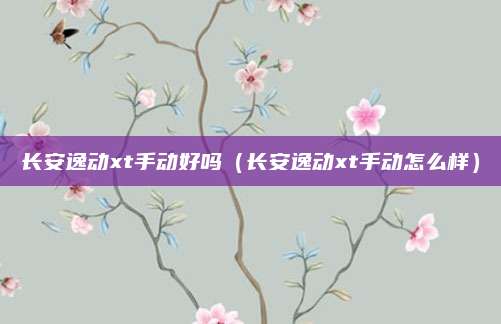 长安逸动xt手动好吗(长安逸动xt手动怎么样)