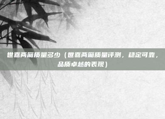 世嘉两厢质量多少(世嘉两厢质量评测,稳定可靠,品质卓越的表现)