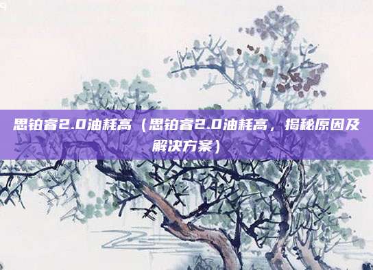 思铂睿2.0油耗高（思铂睿2.0油耗高，揭秘原因及解决方案）