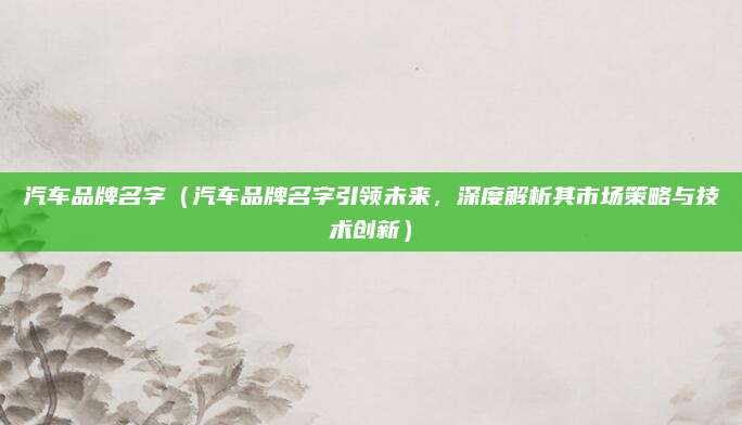 汽车品牌名字（汽车品牌名字引领未来，深度解析其市场策略与技术创新）