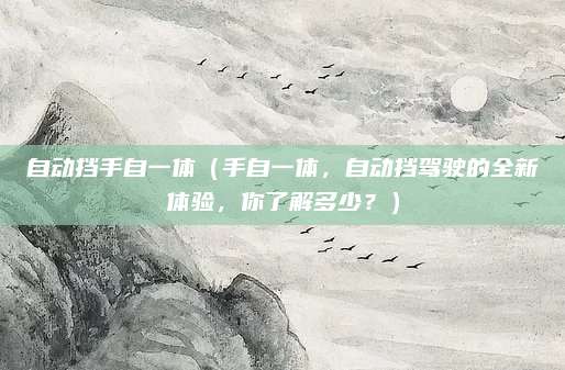 自动挡手自一体(手自一体,自动挡驾驶的全新体验,你了解多少?)
