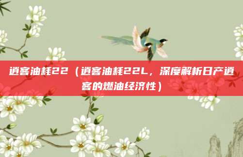 逍客油耗22(逍客油耗22L,深度解析日产逍客的燃油经济性)