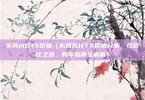 东风风行t5价格(东风风行T5价格分析,性价比之选,购车指南全解析)