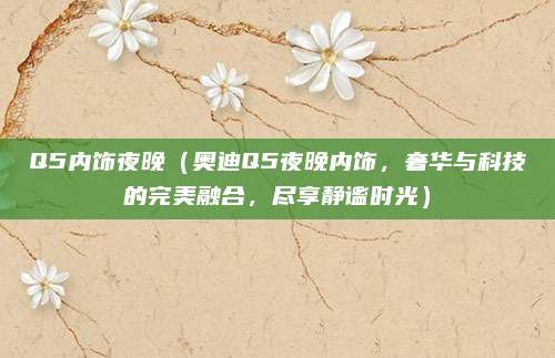 Q5内饰夜晚(奥迪Q5夜晚内饰,奢华与科技的完美融合,尽享静谧时光)