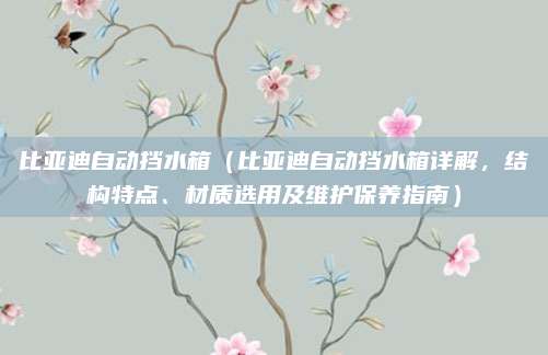 比亚迪自动挡水箱(比亚迪自动挡水箱详解,结构特点、材质选用及维护保养指南)