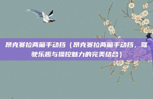 昂克赛拉两厢手动挡(昂克赛拉两厢手动挡,驾驶乐趣与操控魅力的完美结合)