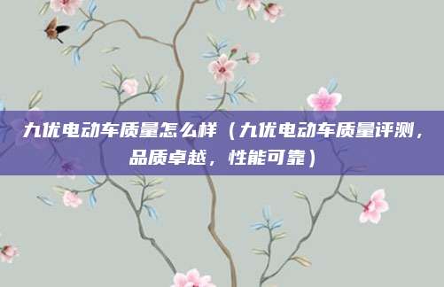 九优电动车质量怎么样(九优电动车质量评测,品质卓越,性能可靠)