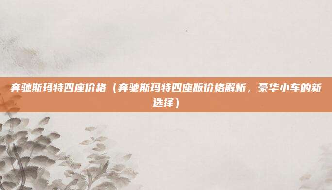 奔驰斯玛特四座价格(奔驰斯玛特四座版价格解析,豪华小车的新选择)