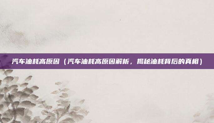 汽车油耗高原因(汽车油耗高原因解析,揭秘油耗背后的真相)
