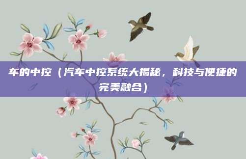 车的中控(汽车中控系统大揭秘,科技与便捷的完美融合)