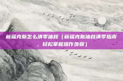 新福克斯怎么清零油耗(新福克斯油耗清零指南,轻松掌握操作步骤)