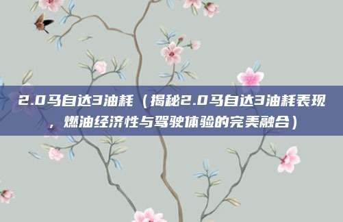 2.0马自达3油耗(揭秘2.0马自达3油耗表现,燃油经济性与驾驶体验的完美融合)