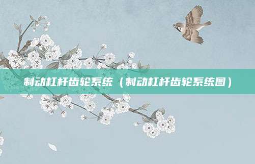 制动杠杆齿轮系统(制动杠杆齿轮系统图)