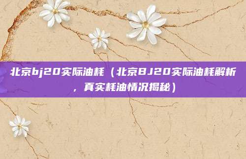 北京bj20实际油耗(北京BJ20实际油耗解析,真实耗油情况揭秘)